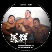 GUMP_ULT_013盤面.jpg