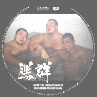 GUMP_ULT_013盤面.jpg