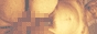 bfs_bn2.gif